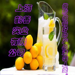 廠家直銷他拉膠價格 廠家直銷他拉膠型號規格