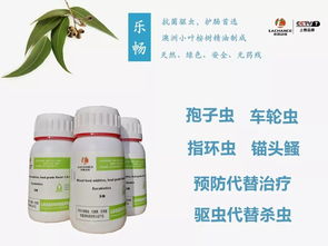 金九銀十丨魚類催肥長膘旺季,如何讓沖刺的魚兒加把勁 確保高產高收