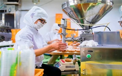 開廠做什么吃的賺錢,探討食品加工業的商業機會與創新方向