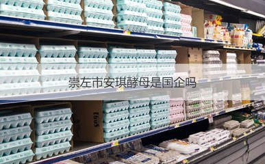 崇左市安琪酵母廠工資 崇左市安琪酵母是國企嗎