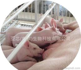 食品添加劑價格 食品添加劑廠家 公司 食品添加劑批發